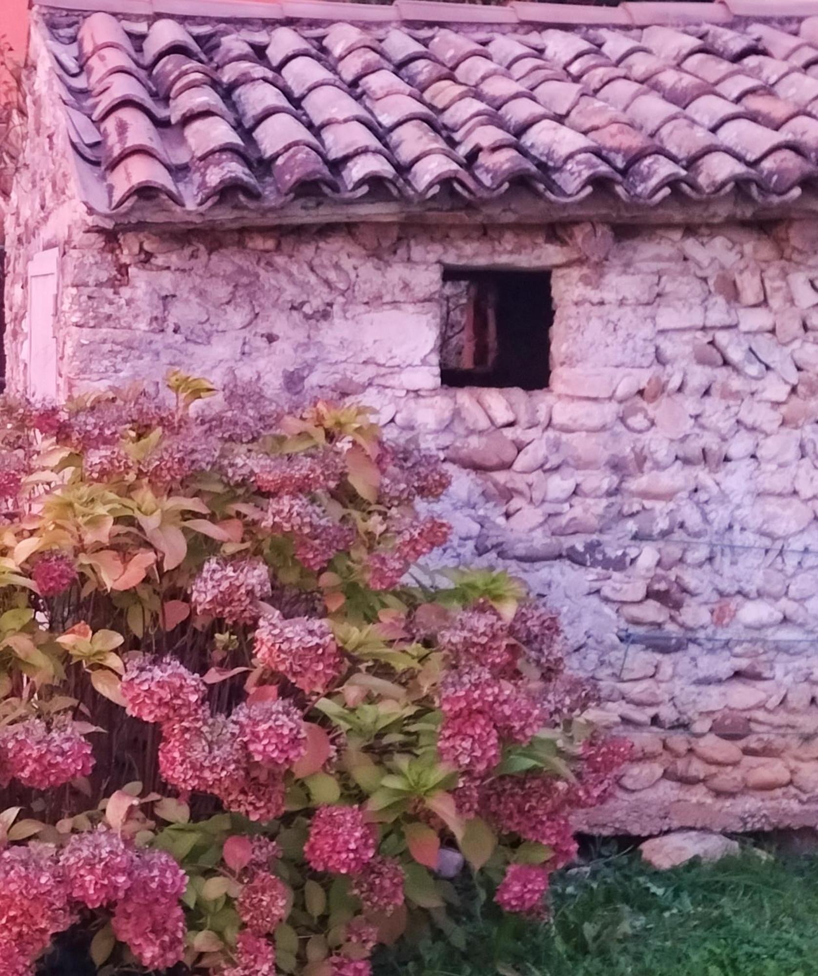 B&B Terre Di Bea Pederobba Экстерьер фото