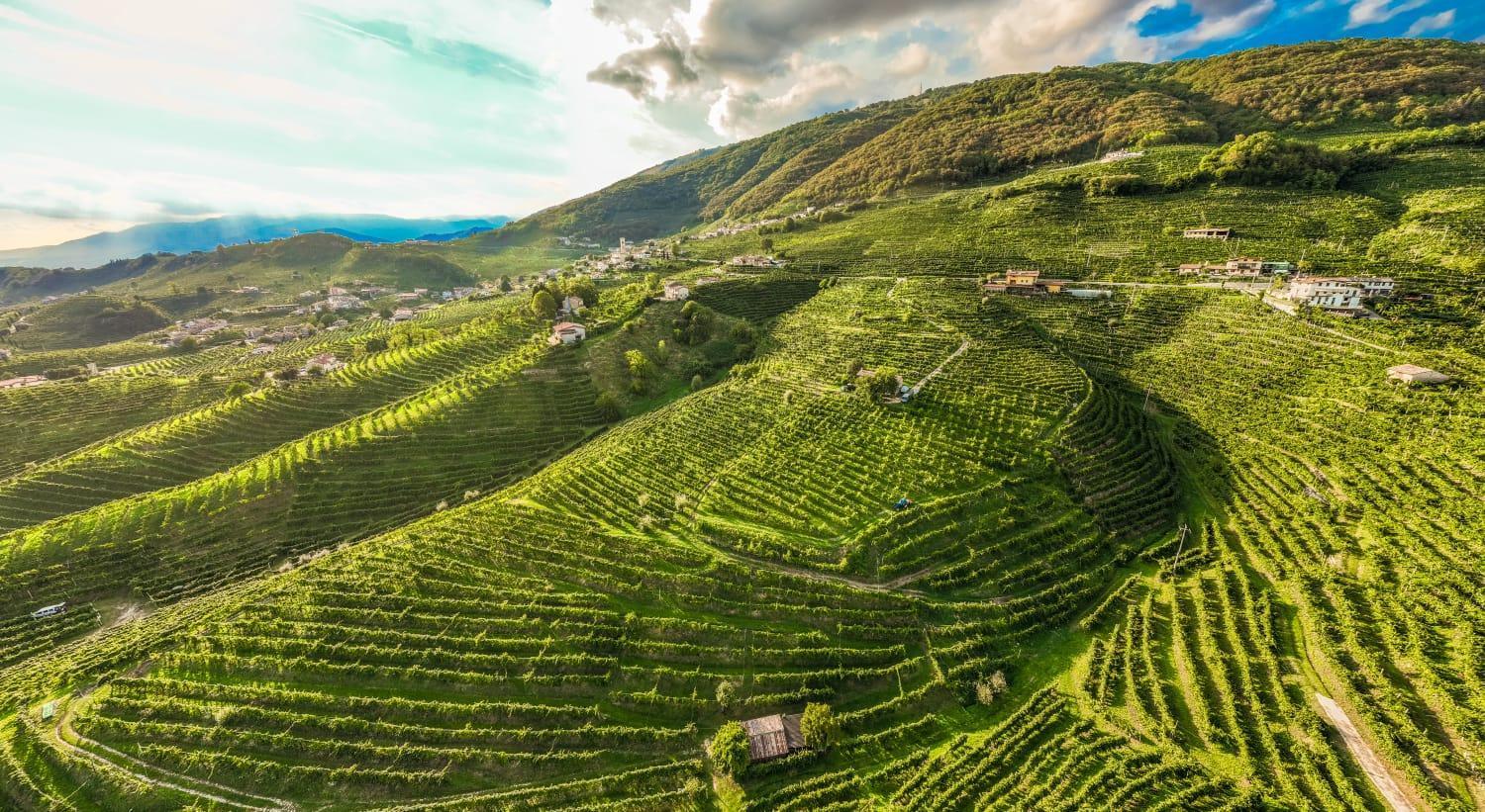 B&B Terre Di Bea Pederobba Экстерьер фото